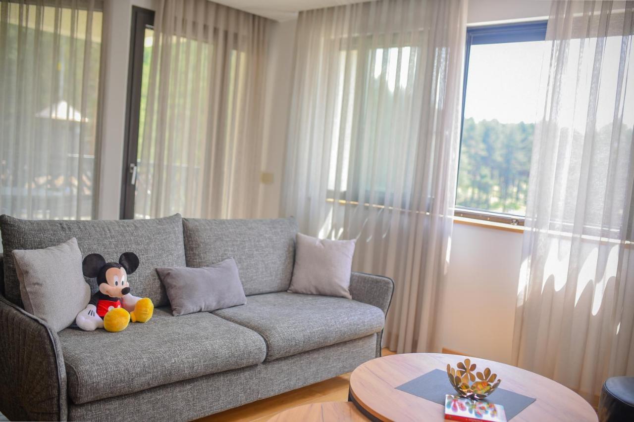 Vila Masa Zlatibor Dış mekan fotoğraf